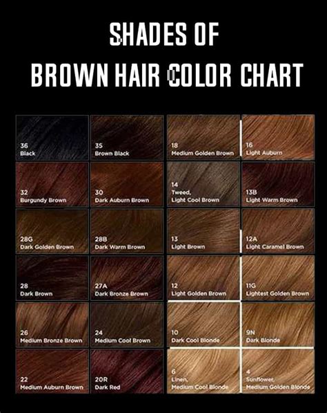 shades brunette hair color chart